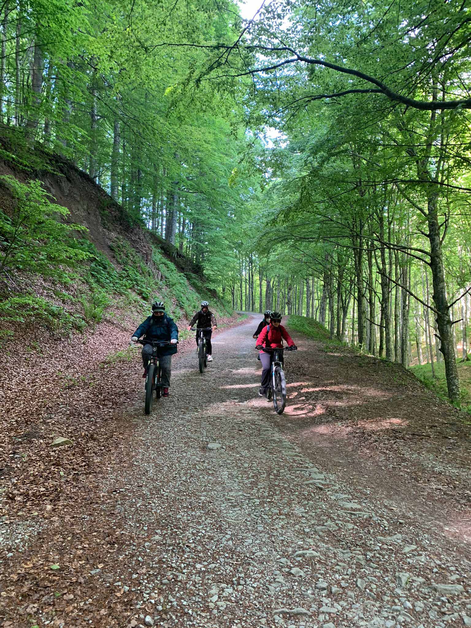 ESPLORA IL PARCO NAZIONALE - Casentino Escursioni Bike